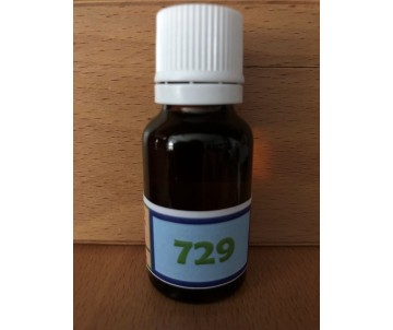 729 Soutien du réseau...