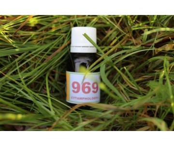 969 Syndrome métabolique équin