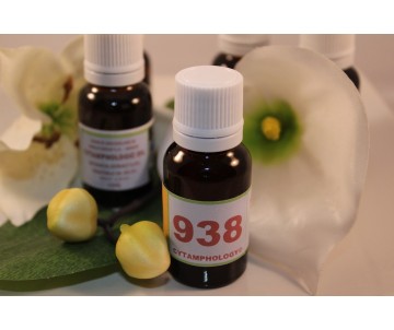 938 Infection due à une...
