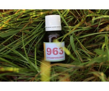 963 Répartition des...