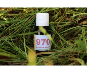 970 Diabète (1) (stabilise)...