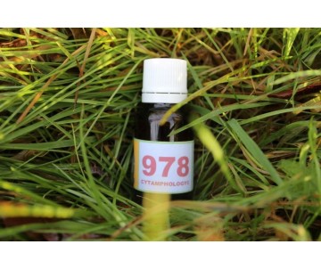 978 Inflammation des...