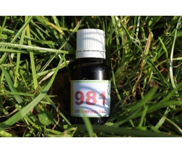 981 Régénérescence pour les...