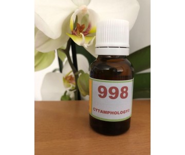 998  Le Détachement du...