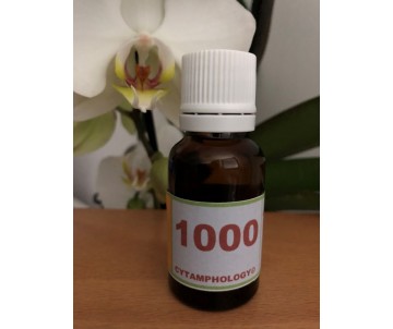 1000 La Dermatite atopique...
