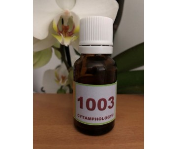 1003 L' Abandon pour les...
